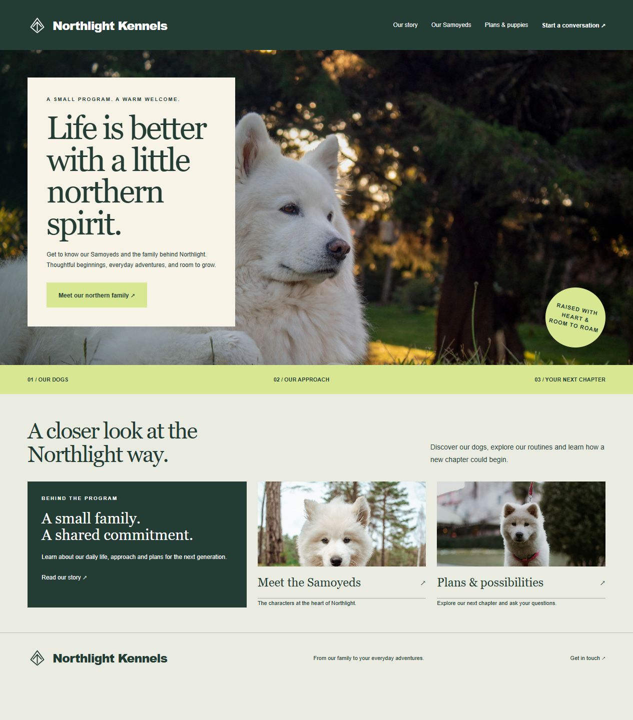 Northlight Kennels original website design with distinct dog photography, hero composition and page layout