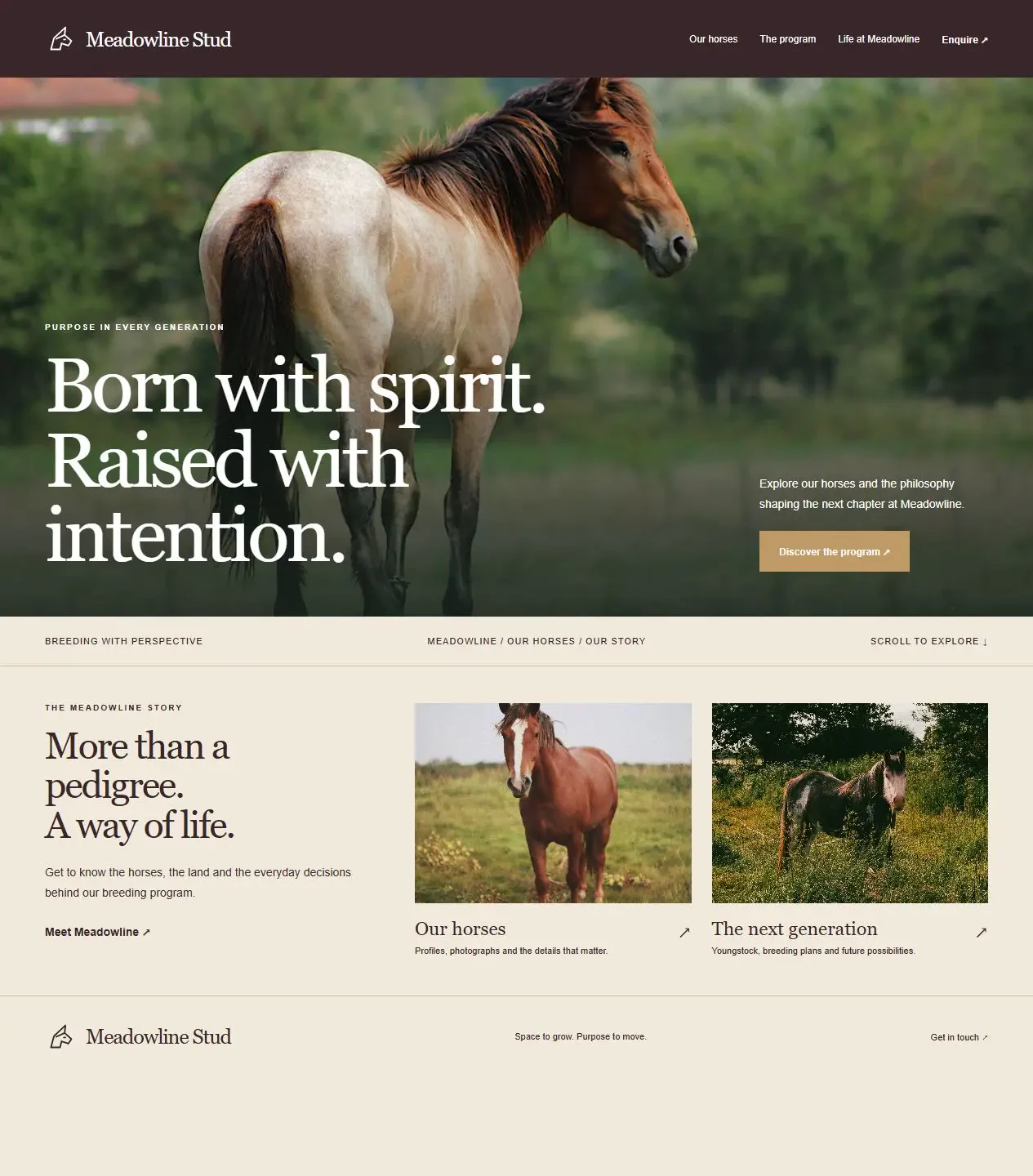 Meadowline Stud original horse website concept with distinct photography and page layout
