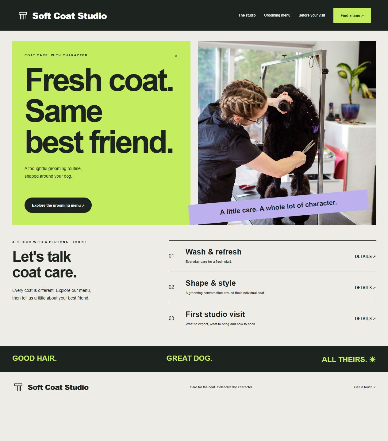 Soft Coat Studio original website design with distinct care photography, hero composition and page layout